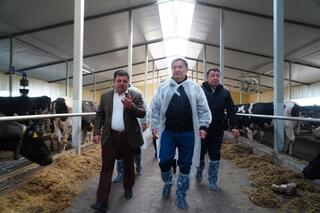 В Акмолинской области запустили современную молочную ферму на 400 голов
