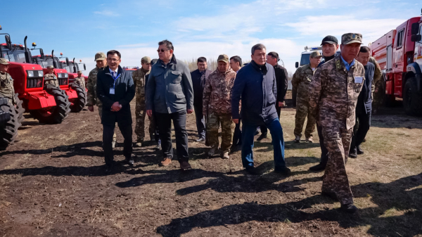 Ситуация на Есиле: что показала проверка