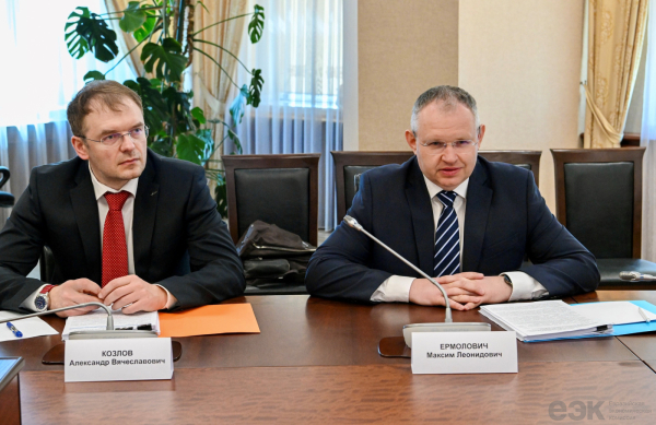 Казахстан усиливает сотрудничество с ЕЭК