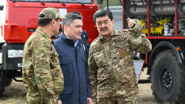 Видеомониторинг и ИИ: новые стандарты защиты лесов