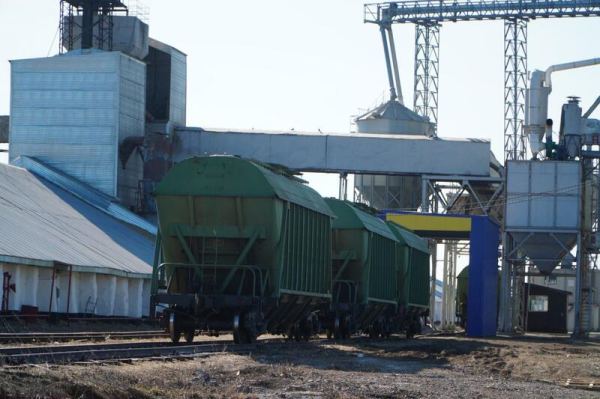 Новое производство комбикорма запустили в Акмолинской области