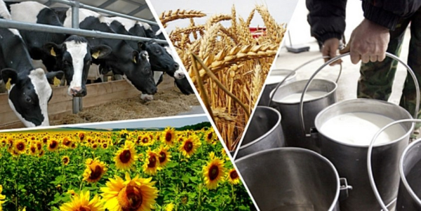 Неожиданный лидер &mdash; какие продукты выросли сильнее всего