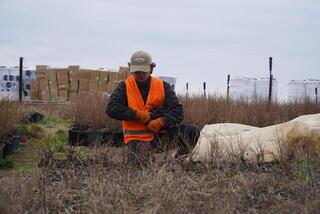 Аким Акмолинской области посетил лесопитомник в Шортандинском районе