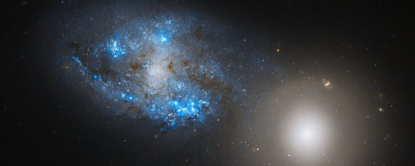 Как кумыс и конина покоряли звездные дали 