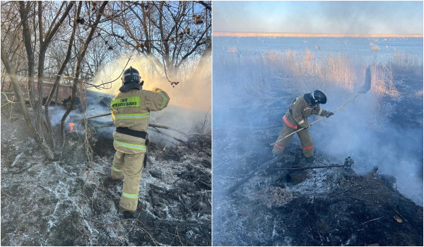 
Сразу в нескольких районах Акмолинской области загорелся сухостой