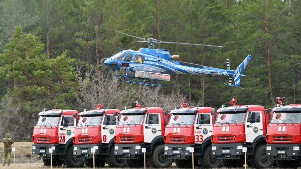 Видеомониторинг и ИИ: новые стандарты защиты лесов