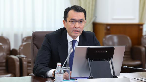 Новый туристический кластер Алматы: планы амбициозные, сроки &mdash; нет