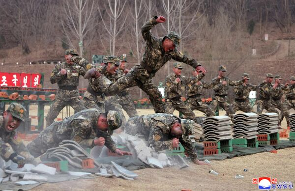 Ким Чен Ын в зоомагазине и "платье свободы": самые яркие кадры недели Ким Чен Ын в зоомагазине и "платье свободы": самые яркие кадры недели