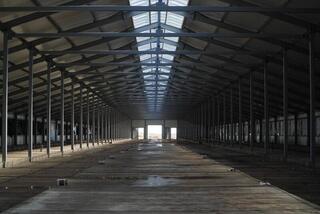 Аким Акмолинской области ознакомился с агропроектами региона Аким Акмолинской области ознакомился с агропроектами региона