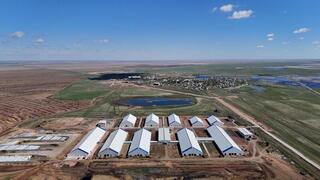 34 тонны молока в сутки производит ферма в Акмолинской области 34 тонны молока в сутки производит ферма в Акмолинской области