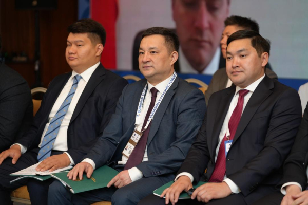 Казахстан поставил условие по общему энергорынку ЕАЭС