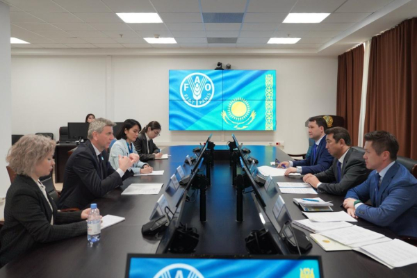 Казахстан и ФАО готовят крупные изменения в агросекторе