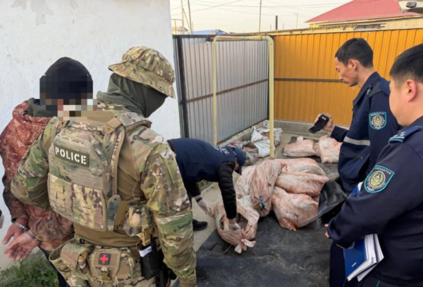 Почти тонна осетра и килограмм икры: громкое изъятие в Атырау