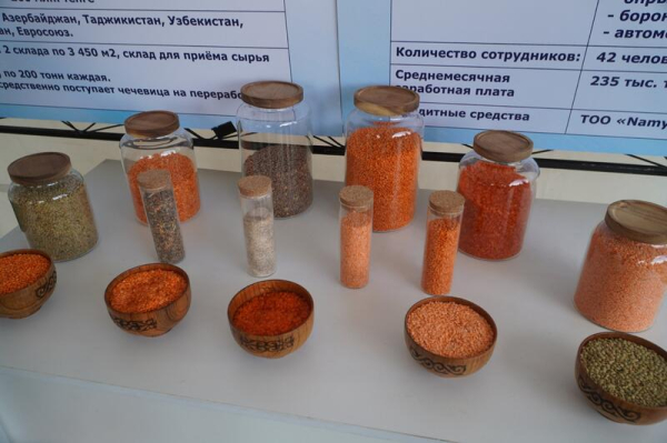 В Акмолинской области засеяно 70% площадей