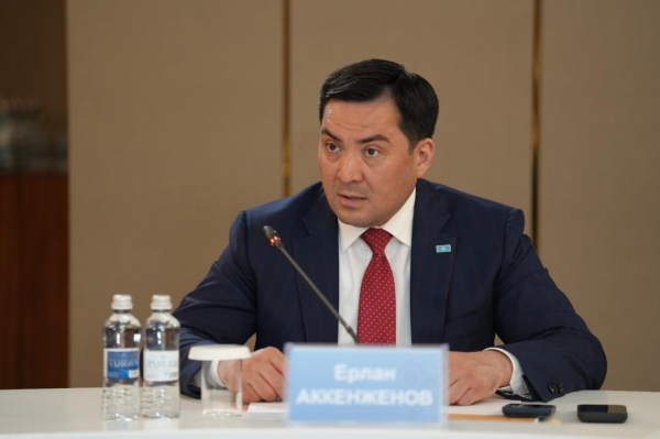 Казахстан поставил условие по общему энергорынку ЕАЭС