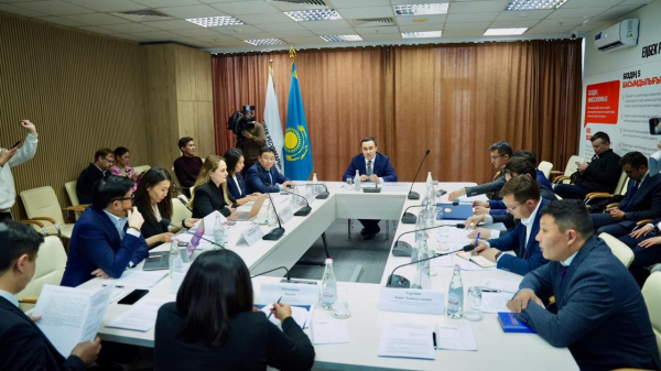 Казахстан готовит &laquo;золотую визу&raquo; для иностранных профессионалов