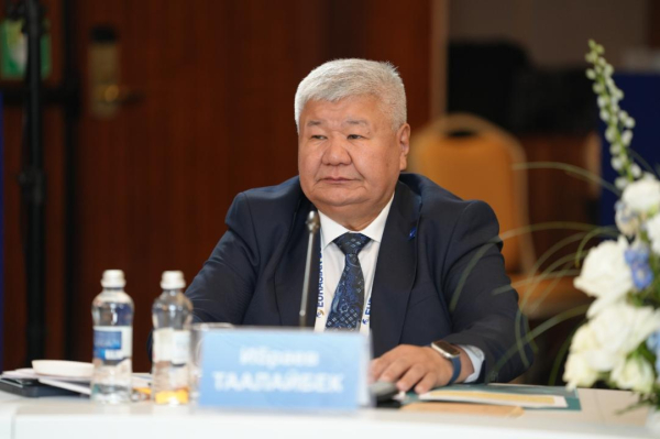 Казахстан поставил условие по общему энергорынку ЕАЭС