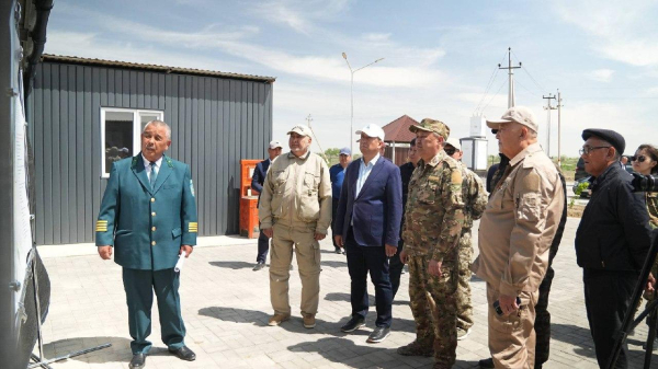 Как саксаул помогает восстановлению экосистемы Аральского моря