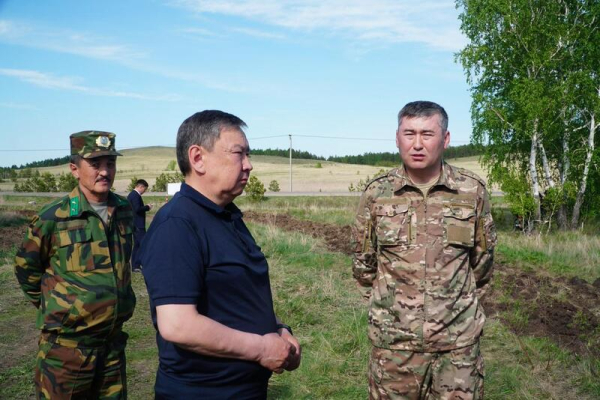 20 млн деревьев высадят в Акмолинской области в 2026 году