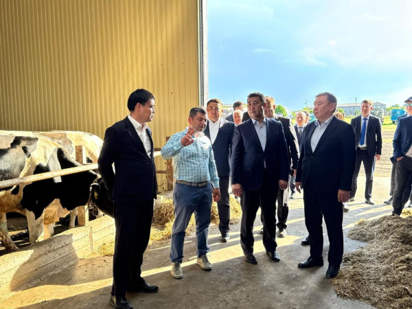 Аграрии Акмолинской области могут побить прошлогодний рекорд