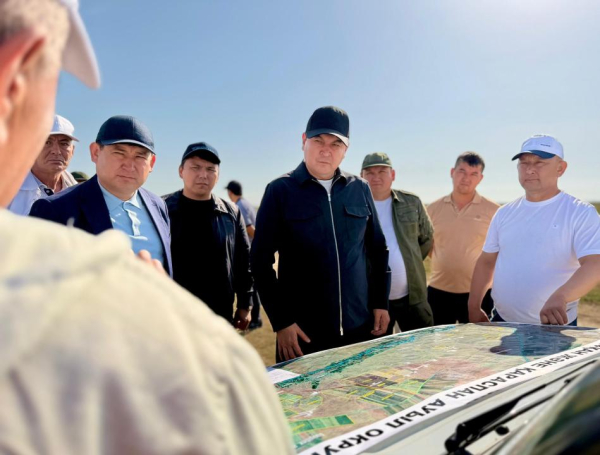 В Туркестанской области продолжается масштабная химическая обработка полей