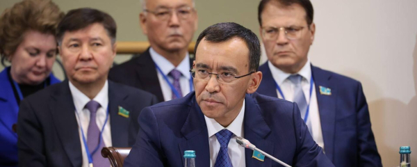 О работе по обеспечению конституционной реформы рассказал Токаеву председатель мажилиса