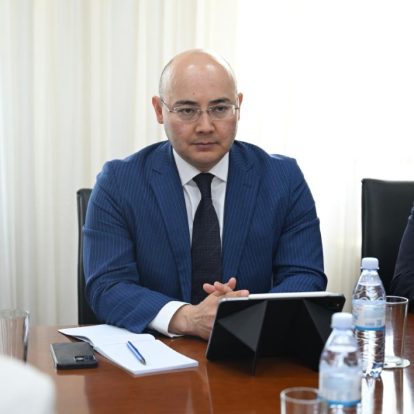 Казахстан и Великобритания готовят новые совместные проекты