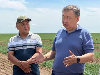 Более 200 тысяч гектаров посевов обработано в Жаркаинском районе