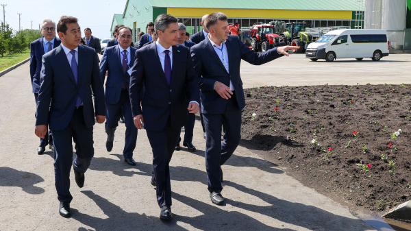 Северный Казахстан становится новой точкой роста агропрома
