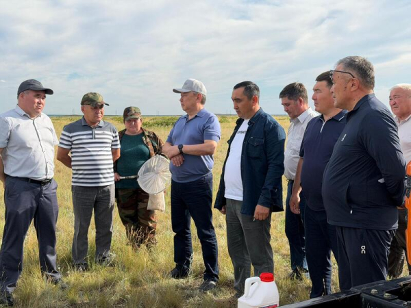 Более 200 тысяч гектаров посевов обработано в Жаркаинском районе
