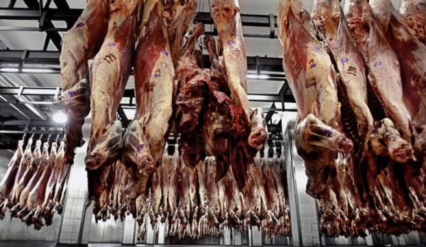 Дефицита нет? В Казахстане раскрыли ситуацию с мясом