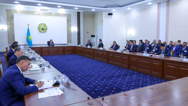 Почему агрохолдинги могут потерять землю в Казахстане