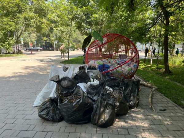 Более 2,4 тысячи человек приняли участие в субботнике в Алматы Более 2,4 тысячи человек приняли участие в субботнике в Алматы