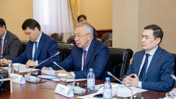 Новые инвестиции и экспорт: о чем договорились Казахстан и Anadolu Group Новые инвестиции и экспорт: о чем договорились Казахстан и Anadolu Group