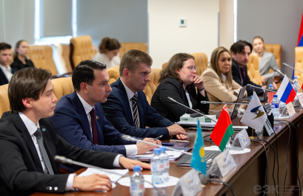 ЕАЭС и Индия провели второй раунд переговоров о зоне свободной торговли