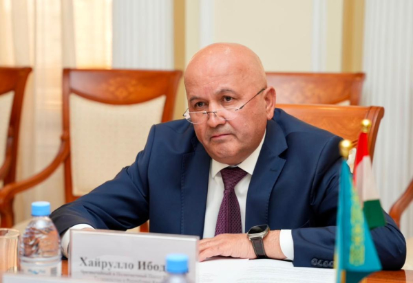 Казахстан и Таджикистан договорились расширить сотрудничество в энергетике