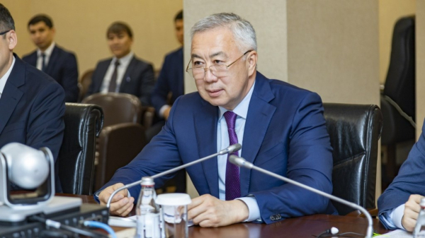 Казахстан выступил за единые правила регулирования никотинсодержащей продукции в ЕАЭС
