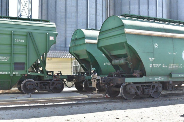 Экспорт казахстанского зерна вырос до 13,5 млн тонн