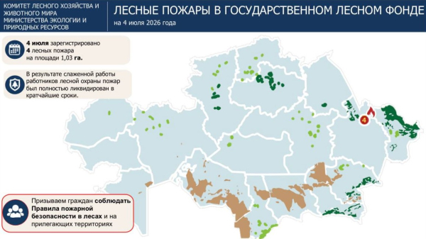 Грозовой день обернулся четырьмя лесными пожарами в «Семей орманы» Грозовой день обернулся четырьмя лесными пожарами в «Семей орманы»
