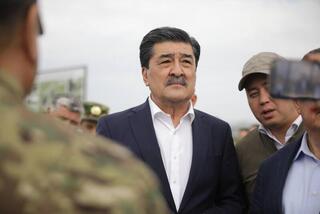 В Акмолинской области развивается производство отечественного посадочного материала