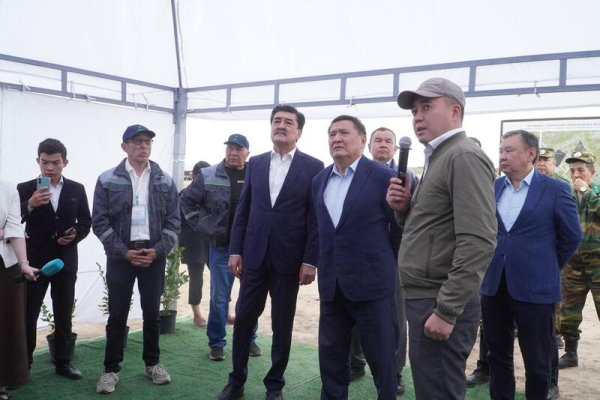 В Акмолинской области развивается производство отечественного посадочного материала В Акмолинской области развивается производство отечественного посадочного материала