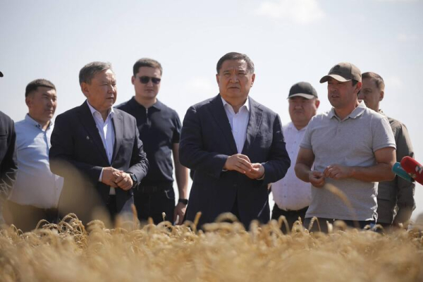 Марат Ахметжанов ознакомился с ходом уборочной кампании в Зерендинском районе Марат Ахметжанов ознакомился с ходом уборочной кампании в Зерендинском районе
