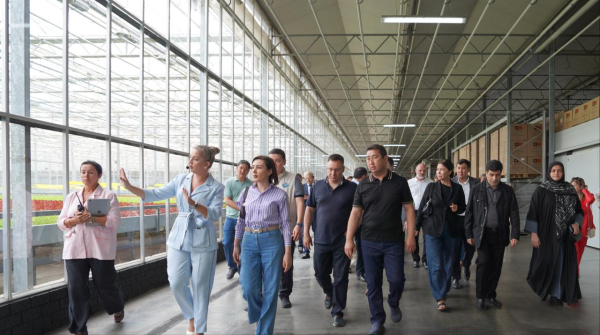 От мороженого до вина: что Казахстан продает за рубеж