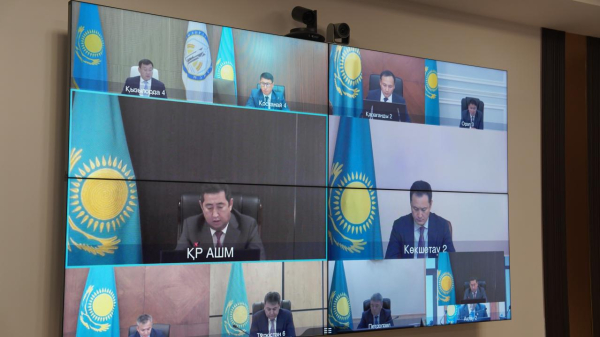 Казахстан ускоряет масштабную реформу ветеринарной службы