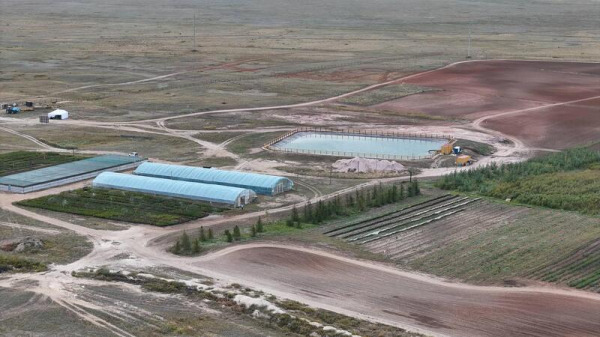 В Акмолинской области развивается производство отечественного посадочного материала В Акмолинской области развивается производство отечественного посадочного материала